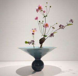 Shoka Shimputai Kabuwake 